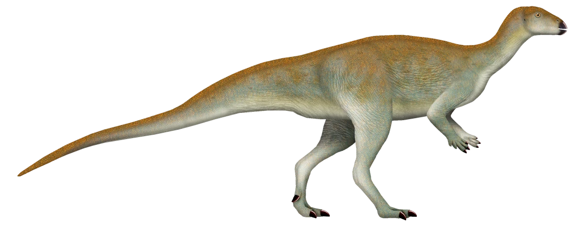 Ilustración paleontológica de Chakisaurus