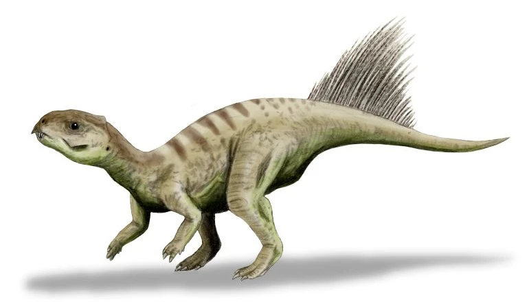 Ilustración paleontológica de Chaoyangsaurus