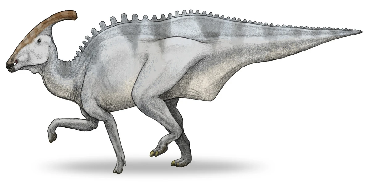 Ilustración paleontológica de Charonosaurus