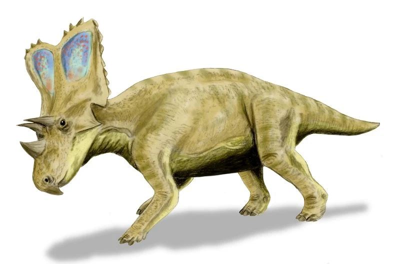 Ilustración paleontológica de Chasmosaurus