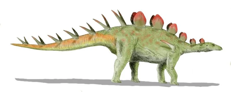 Ilustración paleontológica de Chialingosaurus