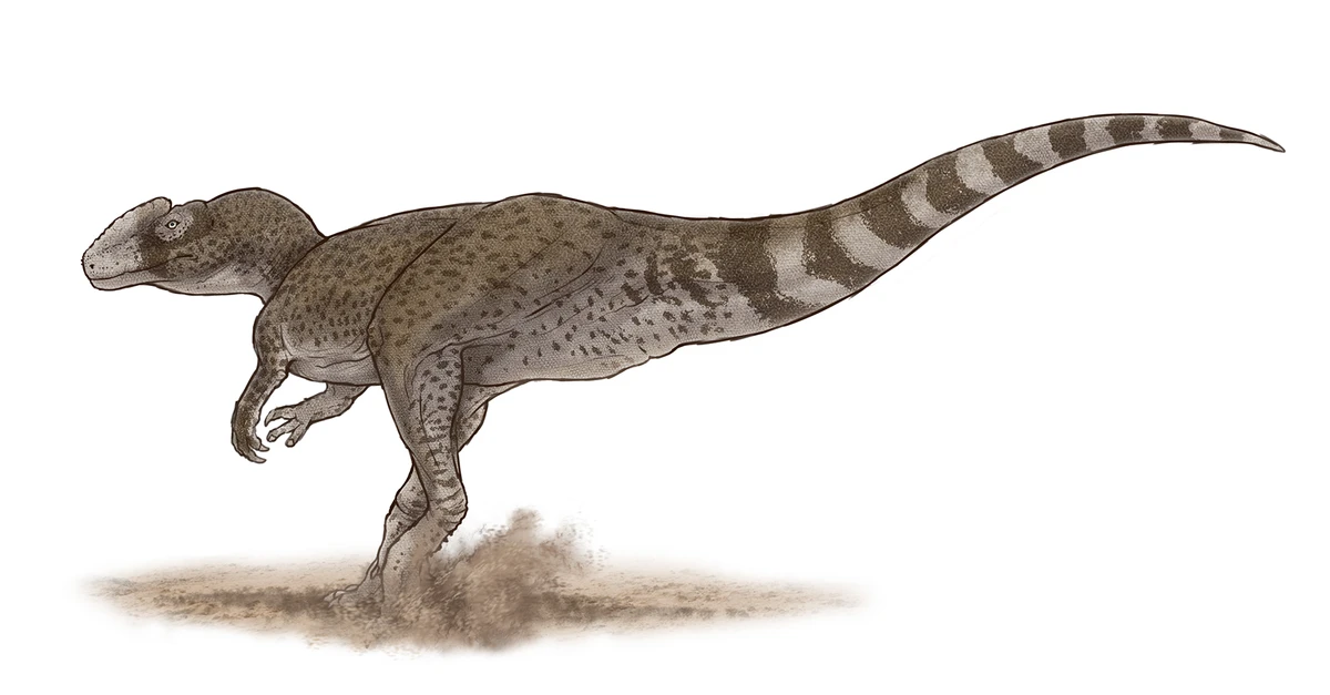 Ilustración paleontológica de Chuandongocoelurus