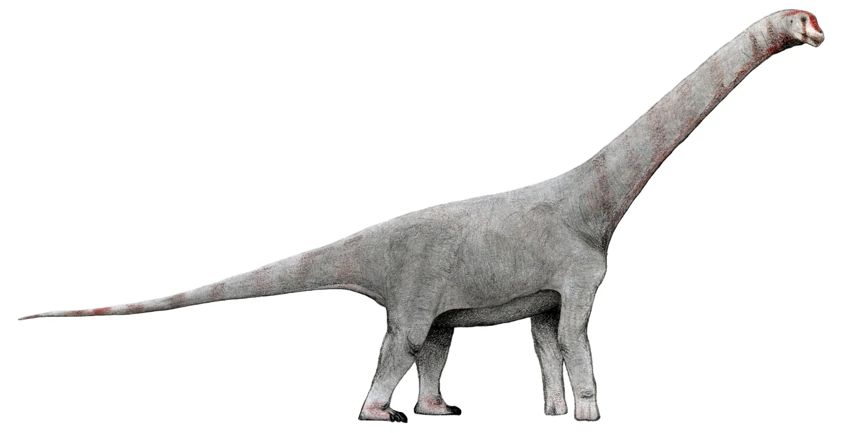Ilustración paleontológica de Chubutisaurus