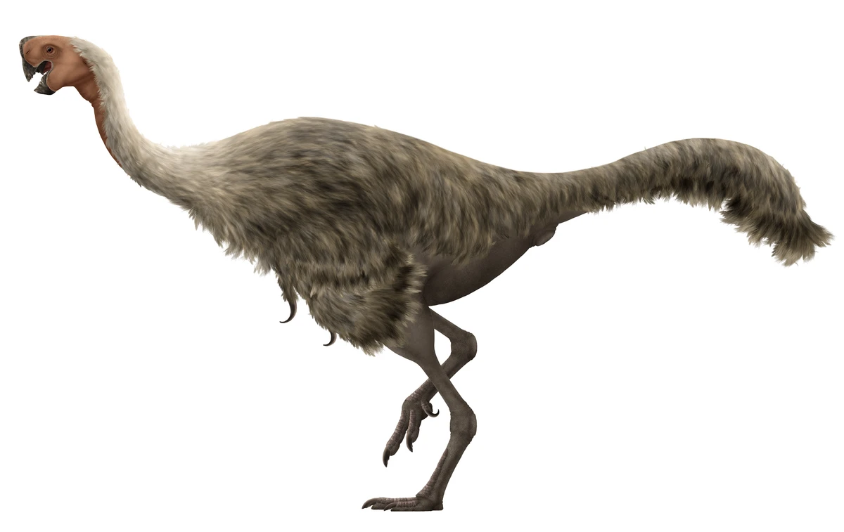 Ilustración paleontológica de Citipati