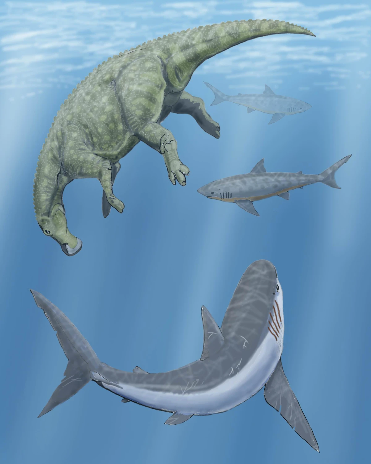Ilustración paleontológica de Claosaurus