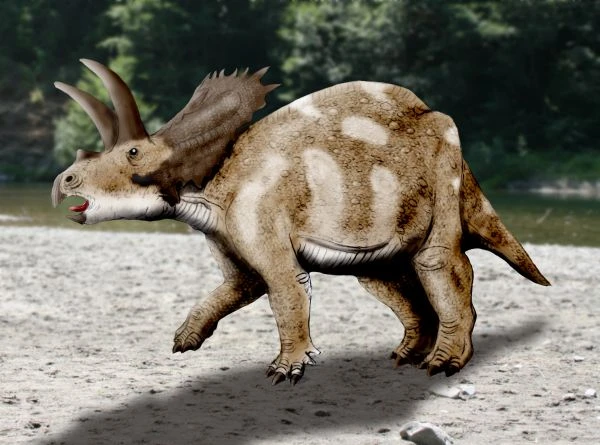 Ilustración paleontológica de Coahuilaceratops