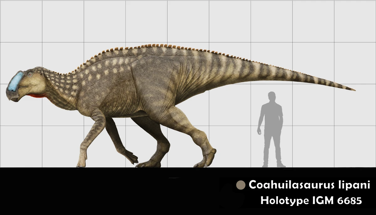 Ilustración paleontológica de Coahuilasaurus