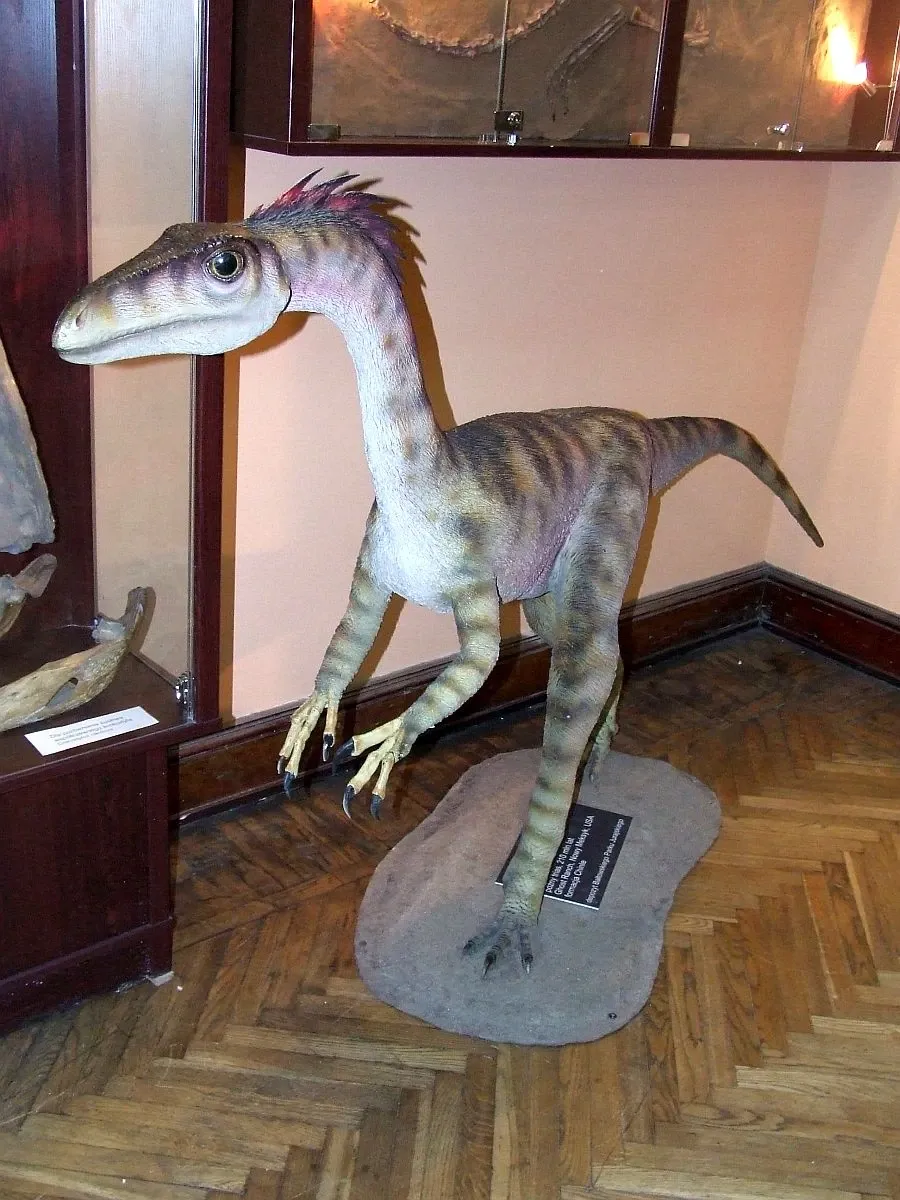Ilustración paleontológica de Coelophysis