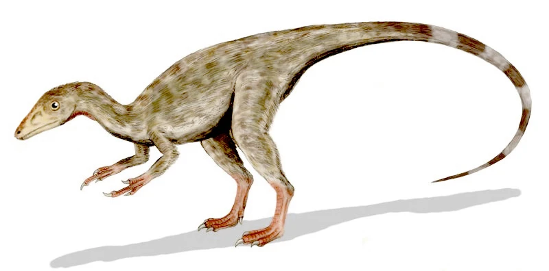Ilustración paleontológica de Compsognathus