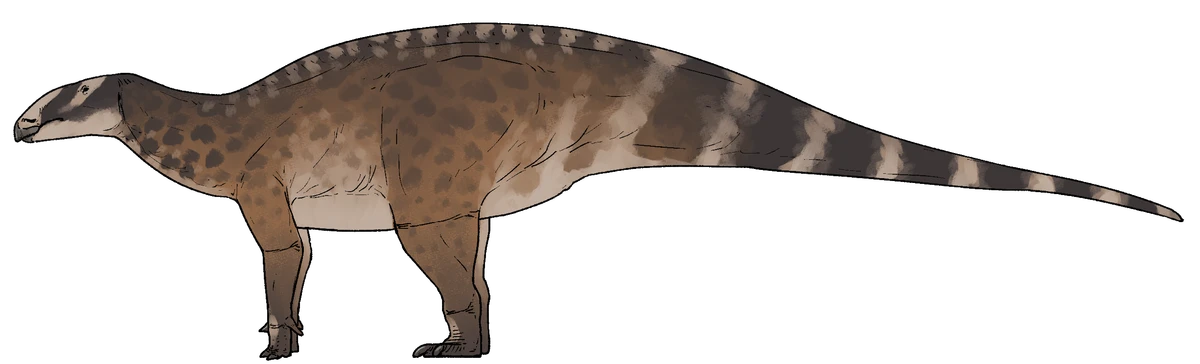 Ilustración paleontológica de Comptonatus