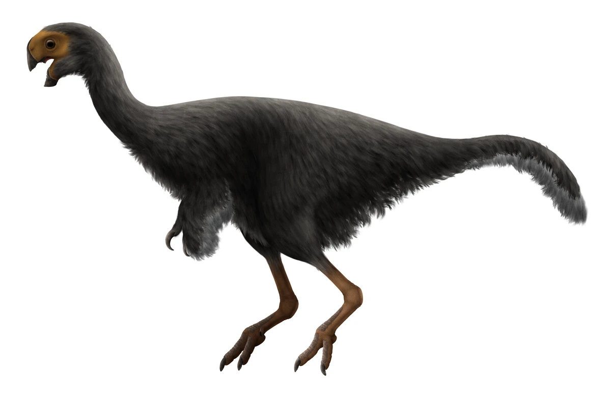 Ilustración paleontológica de Conchoraptor