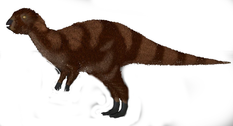 Ilustración paleontológica de Convolosaurus