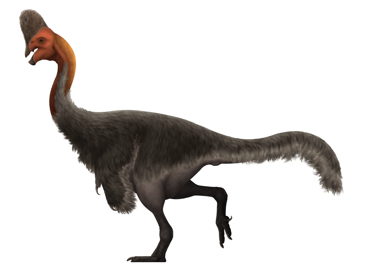 Ilustración paleontológica de Corythoraptor