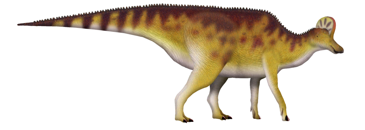 Ilustración paleontológica de Corythosaurus
