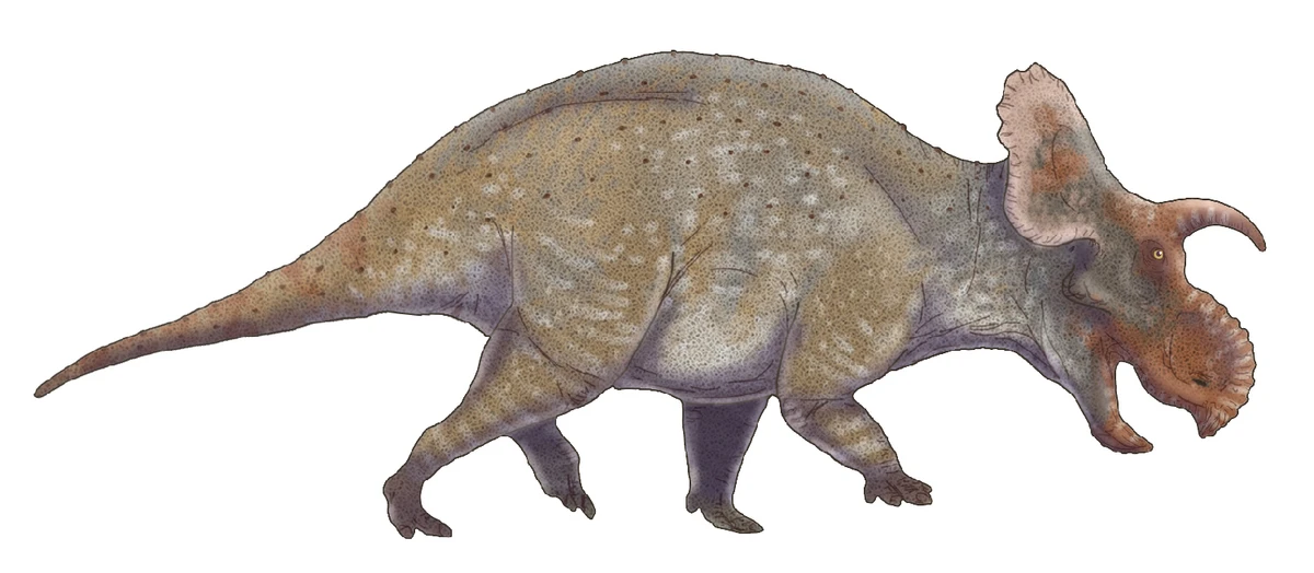 Ilustración paleontológica de Crittendenceratops