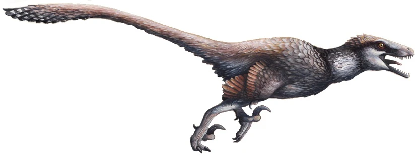 Ilustración paleontológica de Dakotaraptor
