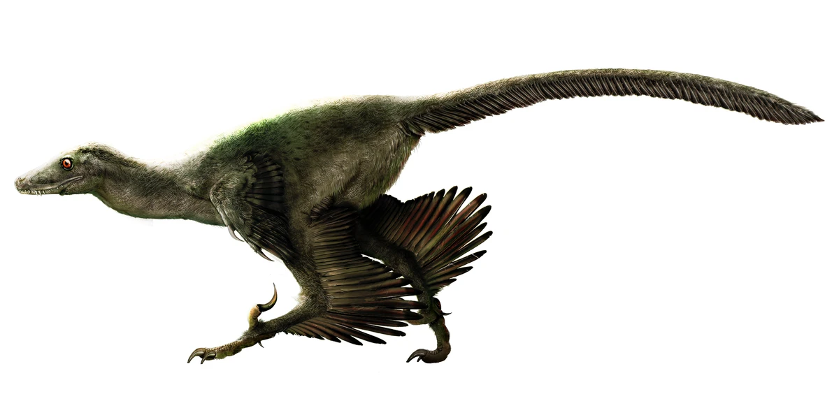 Ilustración paleontológica de Daurlong