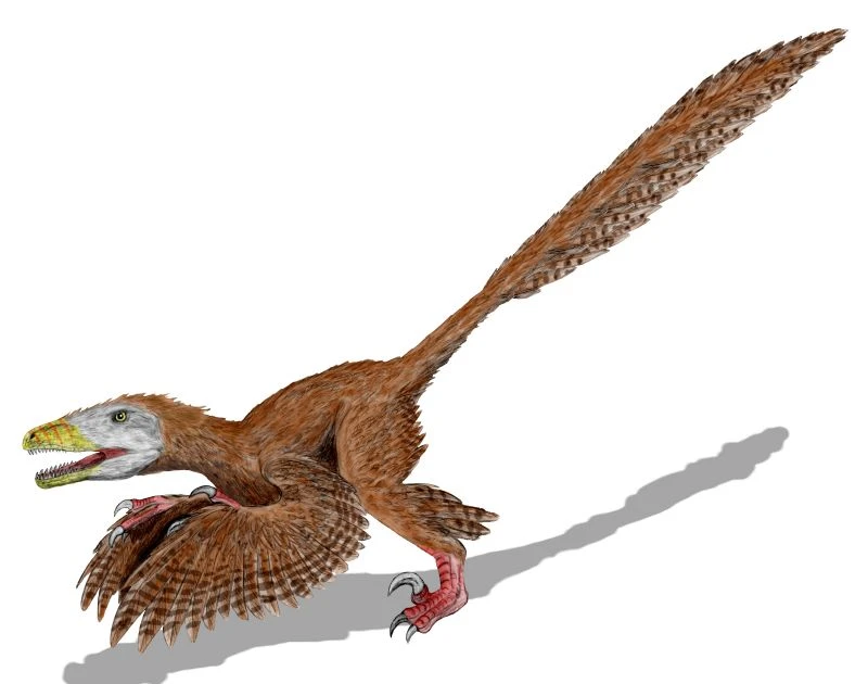 Ilustración paleontológica de Deinonychus