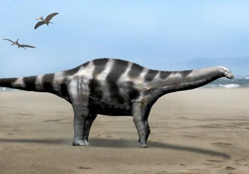 Ilustración paleontológica de Demandasaurus