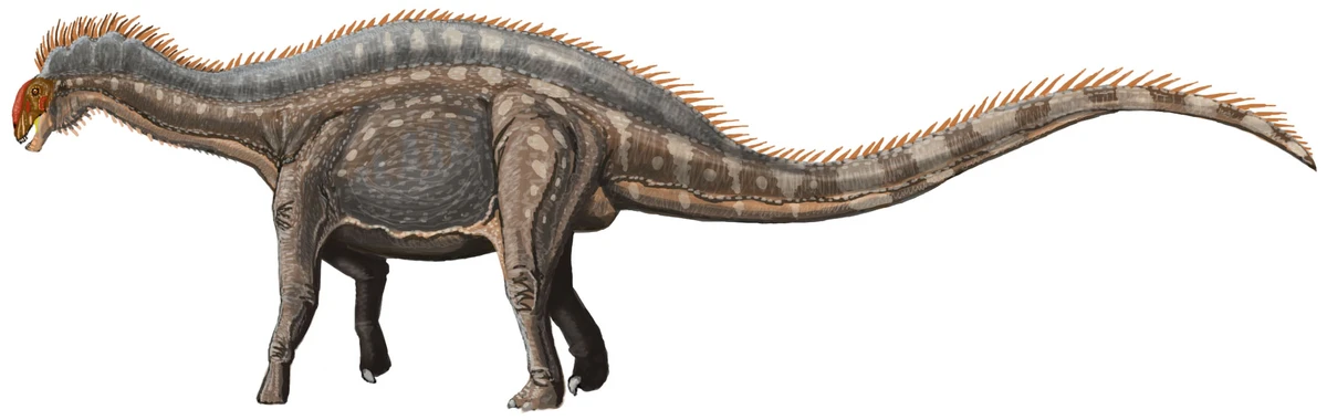 Ilustración paleontológica de Dicraeosaurus