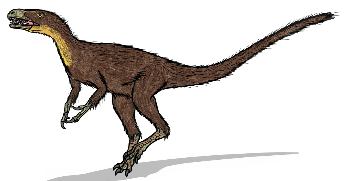 Ilustración paleontológica de Dilong
