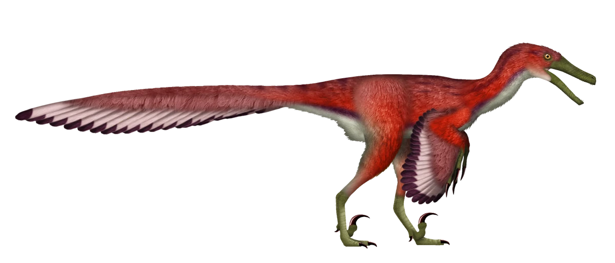 Ilustración paleontológica de Diuqin