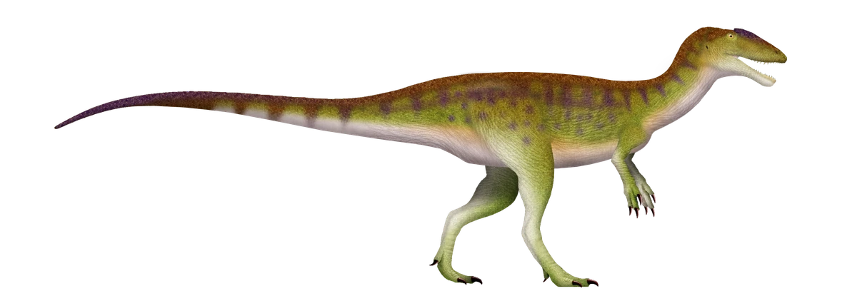 Ilustración paleontológica de Dornraptor