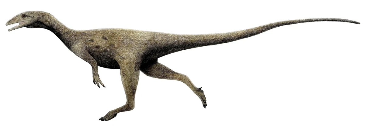 Ilustración paleontológica de Dracoraptor
