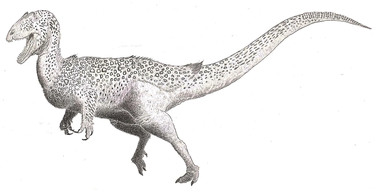 Ilustración paleontológica de Dracovenator