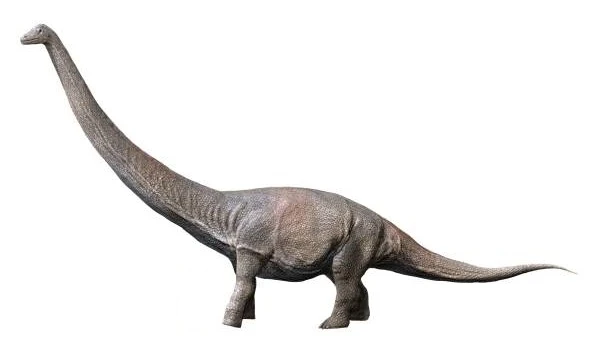 Ilustración paleontológica de Dreadnoughtus