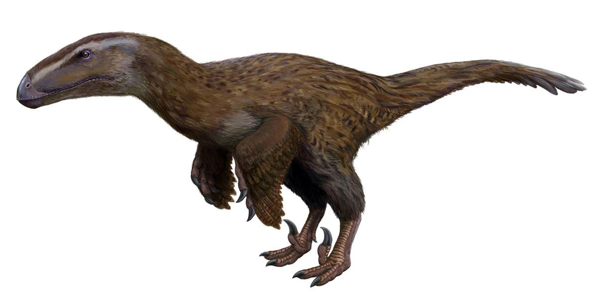 Ilustración paleontológica de Dromaeosauroides