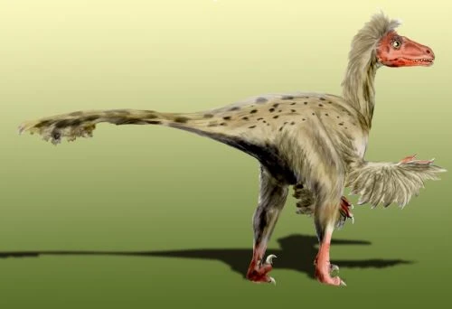 Ilustración paleontológica de Dromaeosaurus