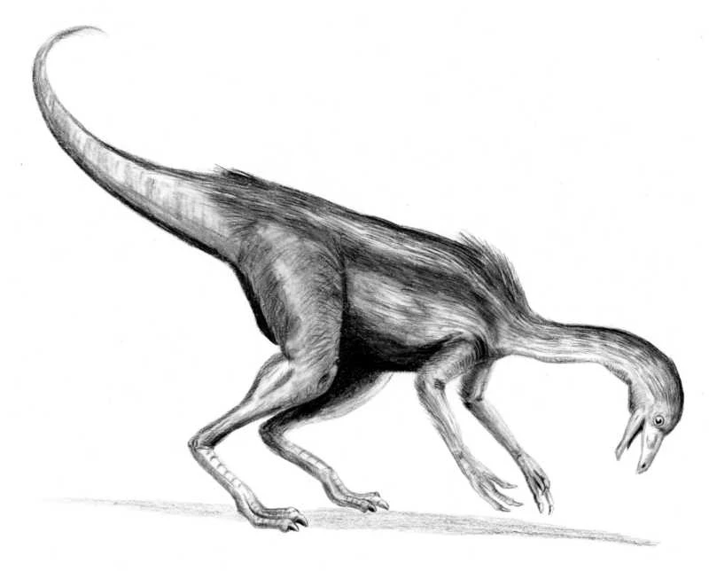 Ilustración paleontológica de Dromiceiomimus