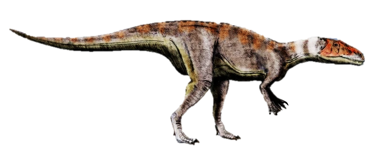 Ilustración paleontológica de Dubreuillosaurus