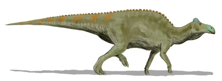 Ilustración paleontológica de Edmontosaurus