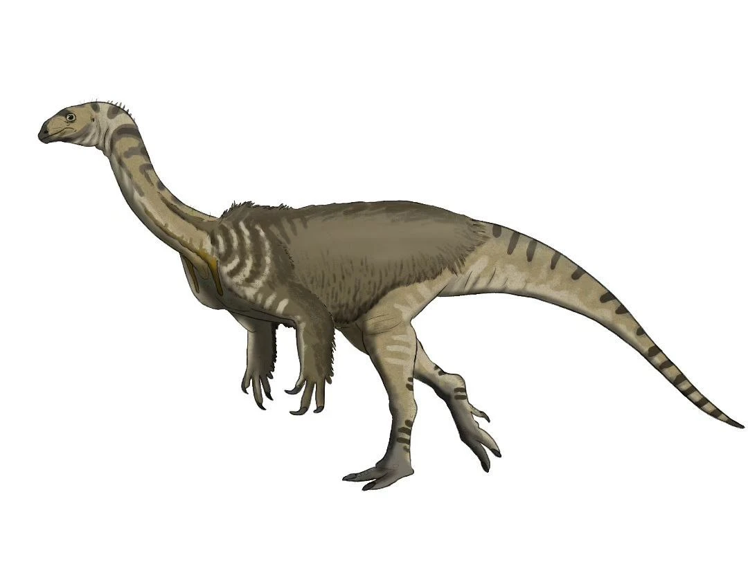 Ilustración paleontológica de Efraasia