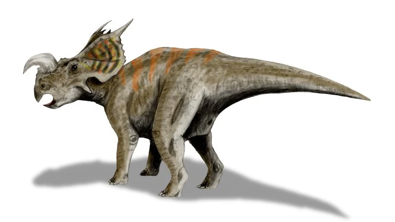 Ilustración paleontológica de Einiosaurus