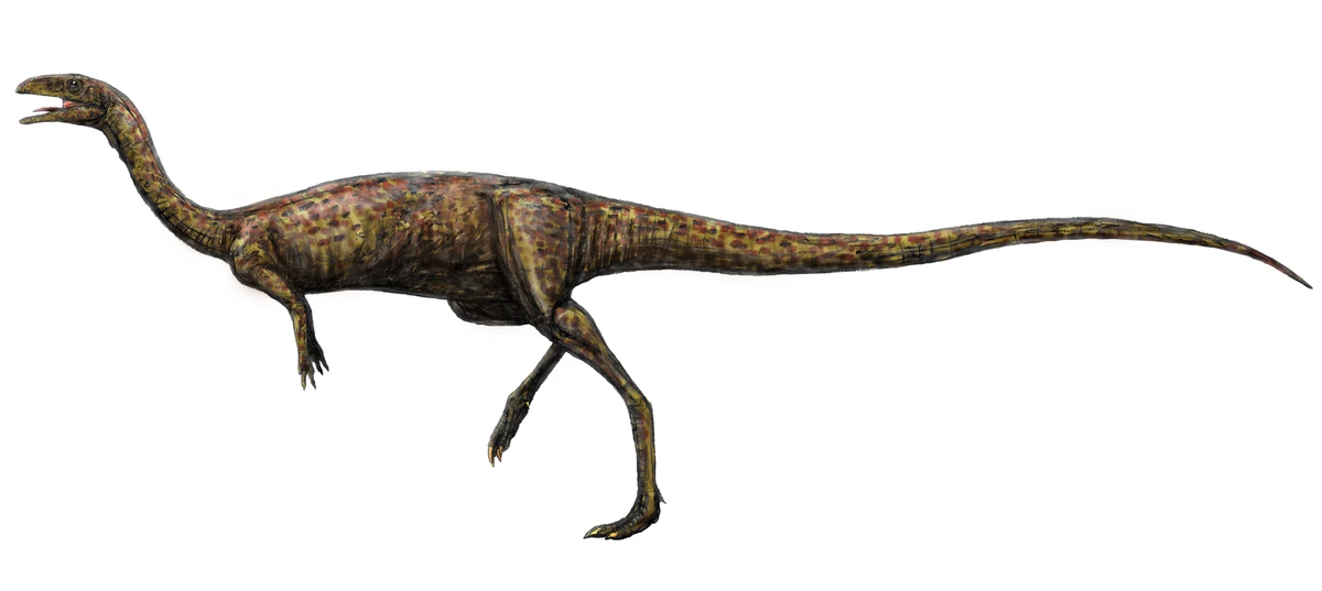 Ilustración paleontológica de Elaphrosaurus