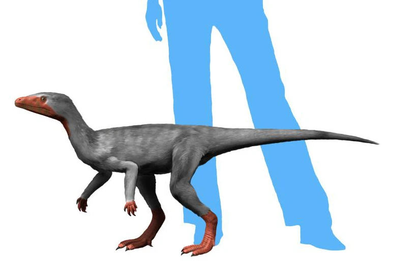Ilustración paleontológica de Eoraptor