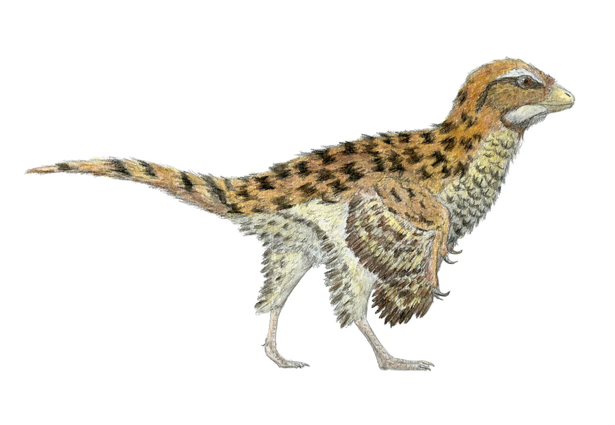 Ilustración paleontológica de Eosinopteryx