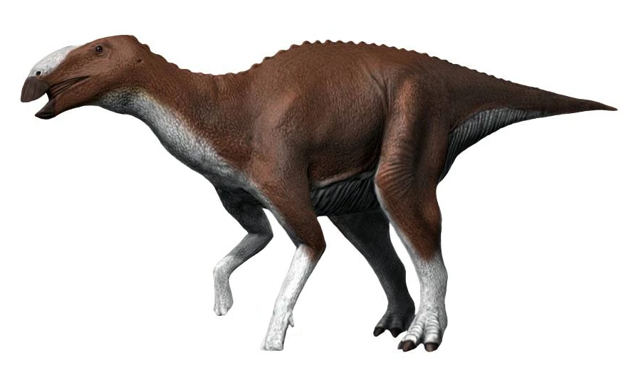 Ilustración paleontológica de Eotrachodon