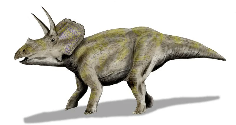 Ilustración paleontológica de Eotriceratops
