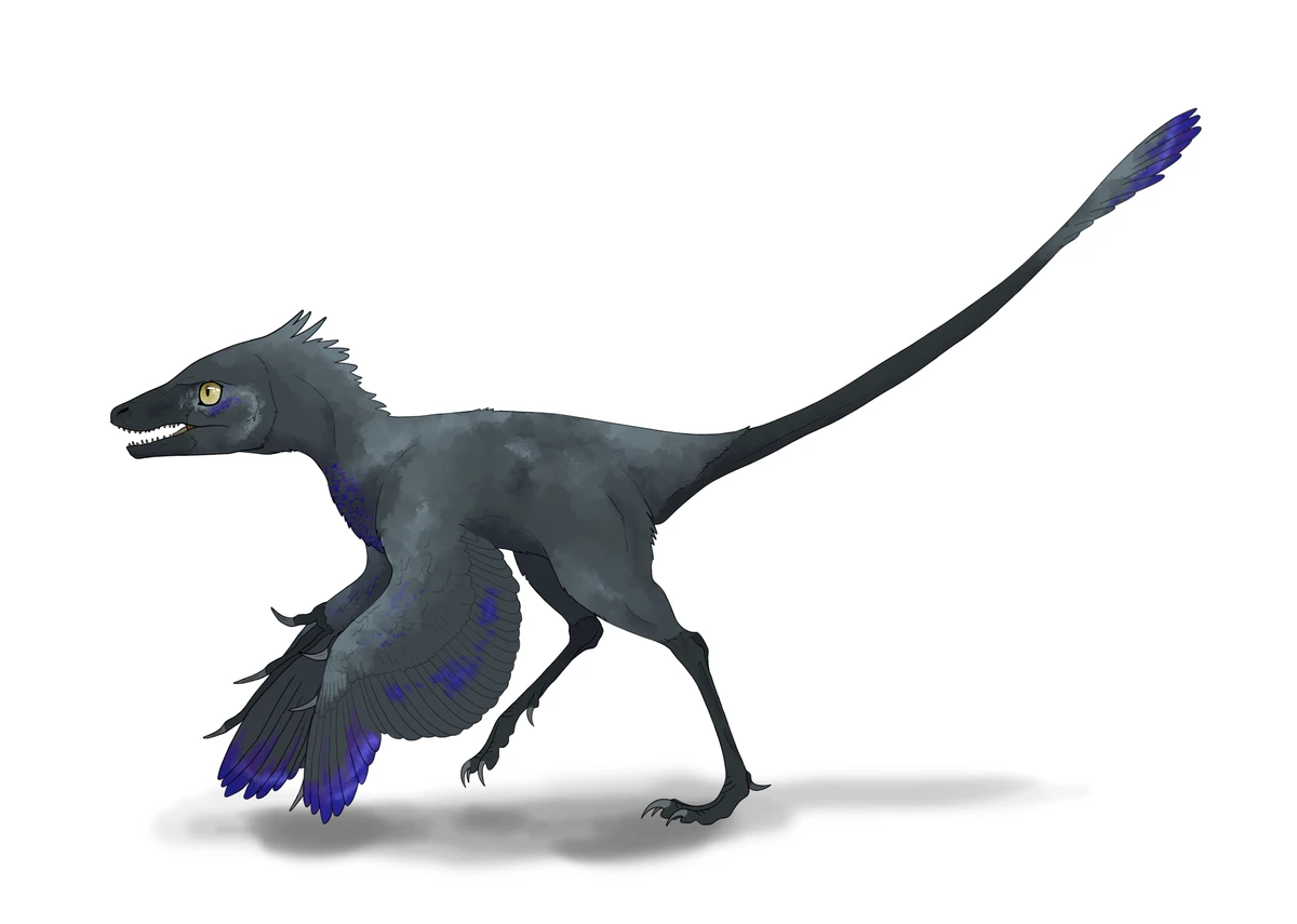 Ilustración paleontológica de Epidendrosaurus