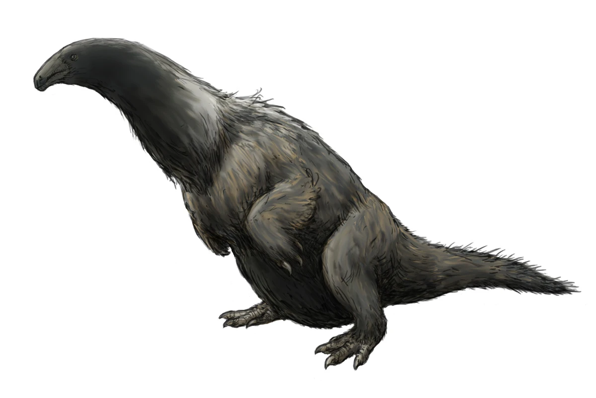 Ilustración paleontológica de Erliansaurus
