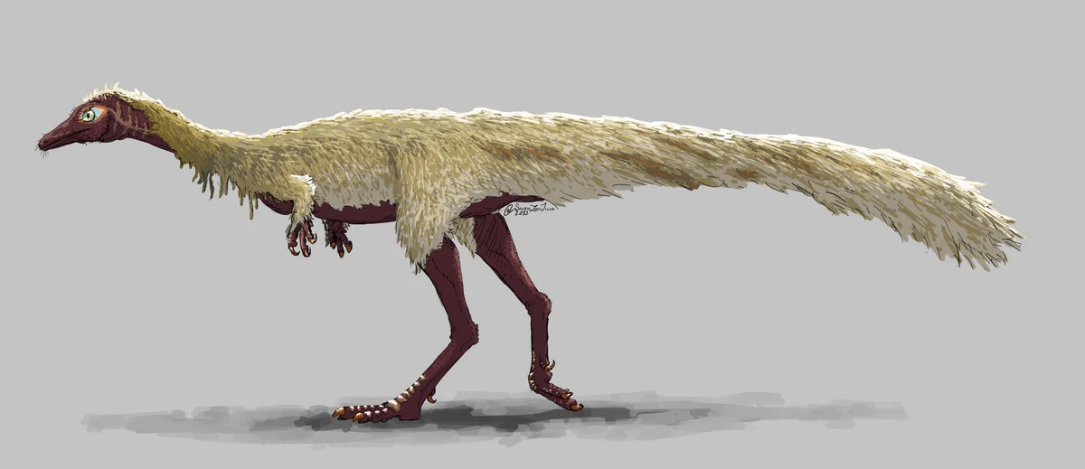 Ilustración paleontológica de Erythrovenator