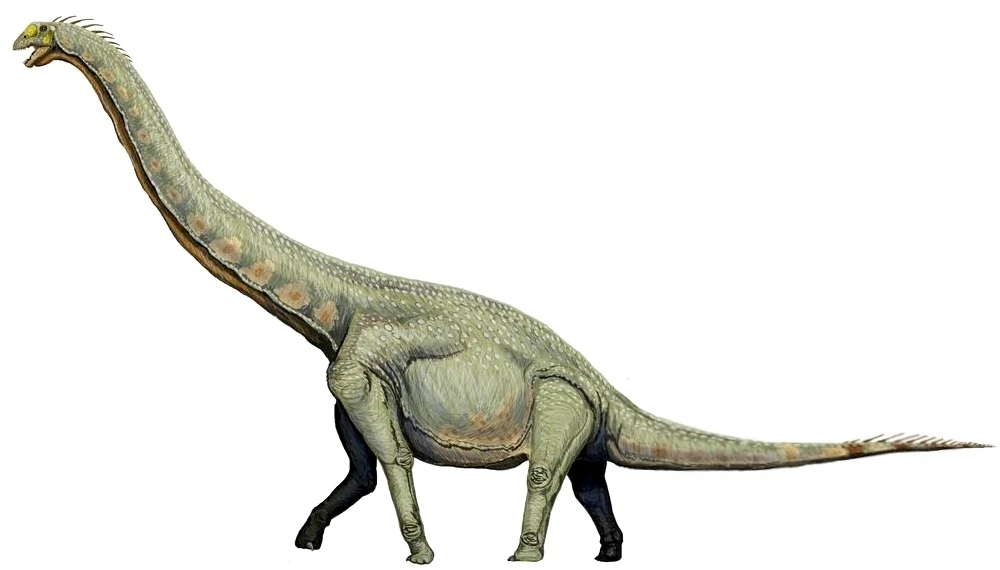 Ilustración paleontológica de Euhelopus
