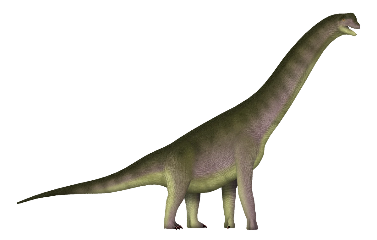 Ilustración paleontológica de Europasaurus