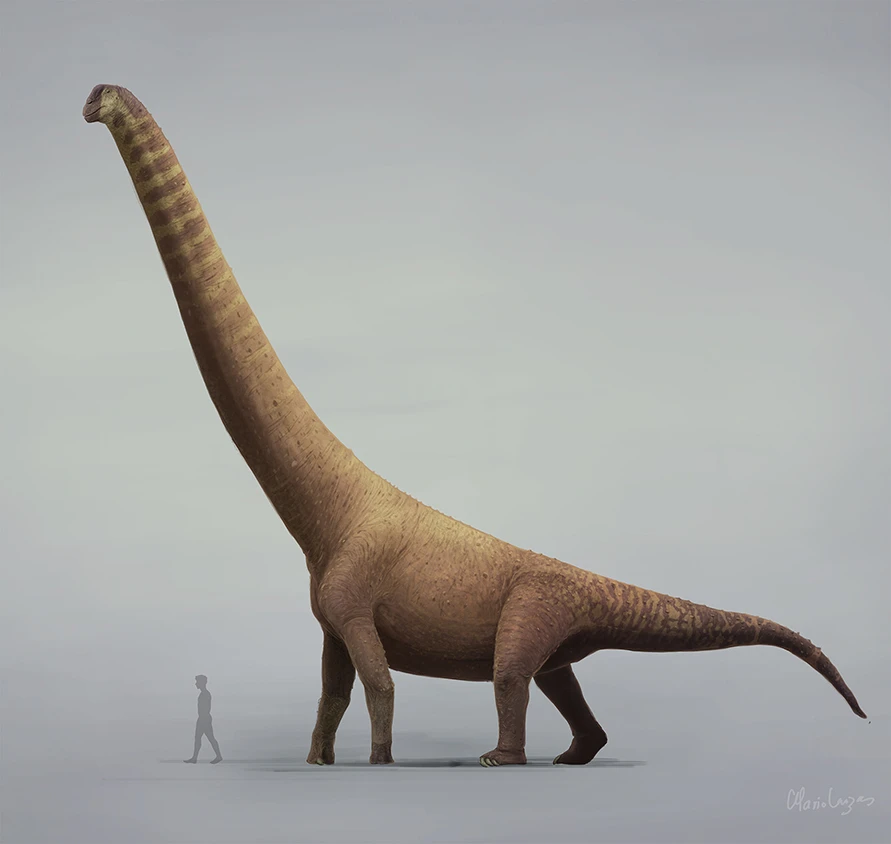 Ilustración paleontológica de Europatitan