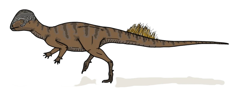 Ilustración paleontológica de Foraminacephale