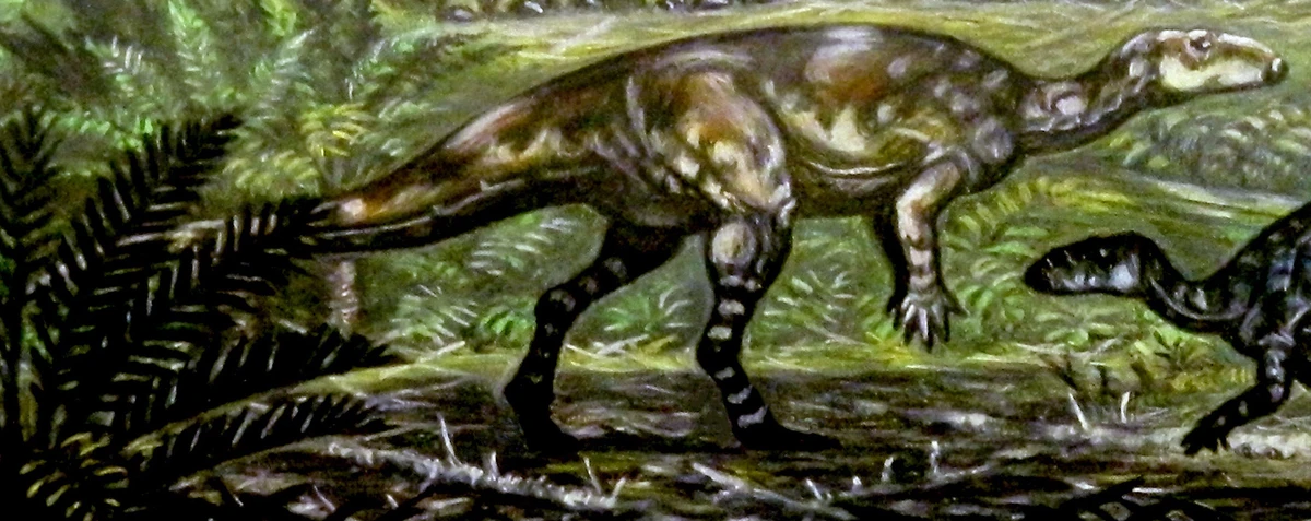 Ilustración paleontológica de Fostoria